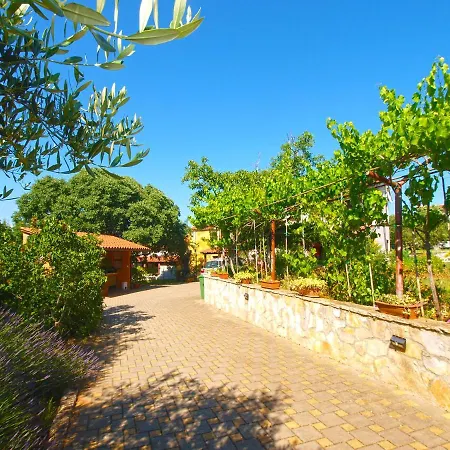 Klaudio 1318 * 波梅尔